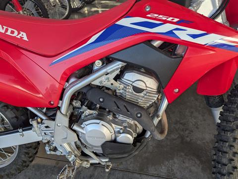 2023 Honda CRF250F in Rapid City, South Dakota - Photo 5