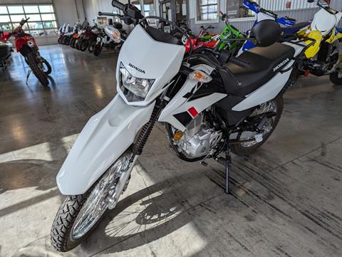 2023 Honda XR150L in Rapid City, South Dakota - Photo 8