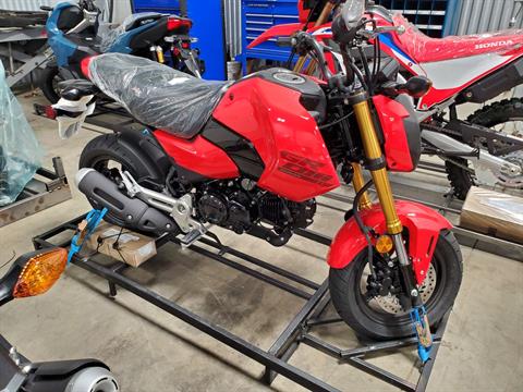 2025 Honda Grom in Rapid City, South Dakota