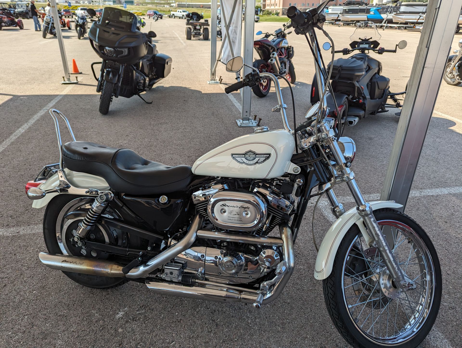 Harley-Davidson Sportster 1200 Custom Image