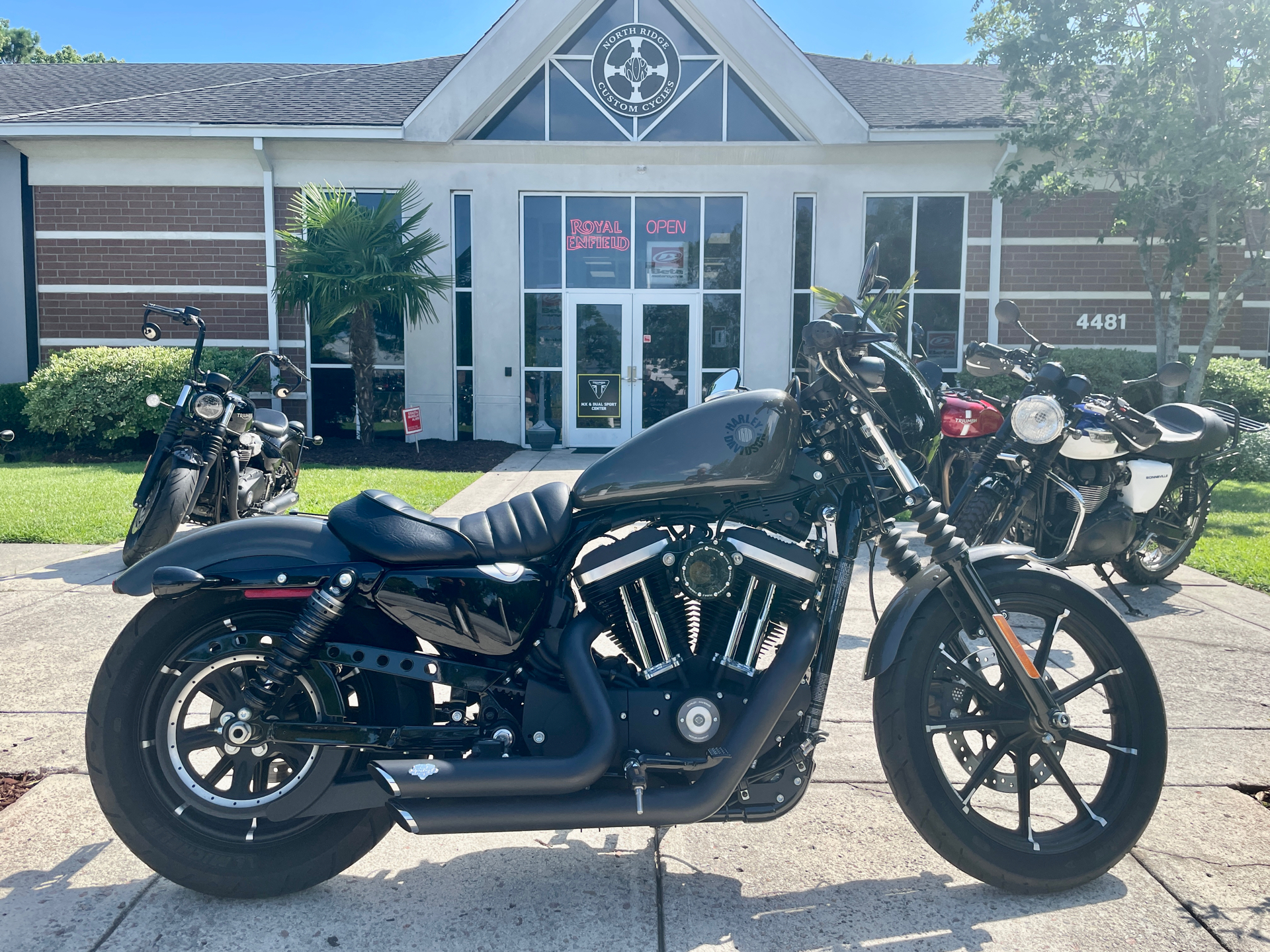 2019 Harley-Davidson Iron 883™ in North Charleston, South Carolina - Photo 1