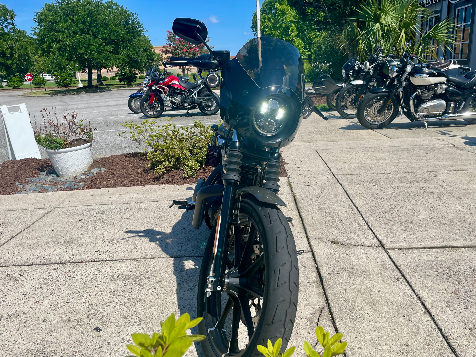 2019 Harley-Davidson Iron 883™ in North Charleston, South Carolina - Photo 3
