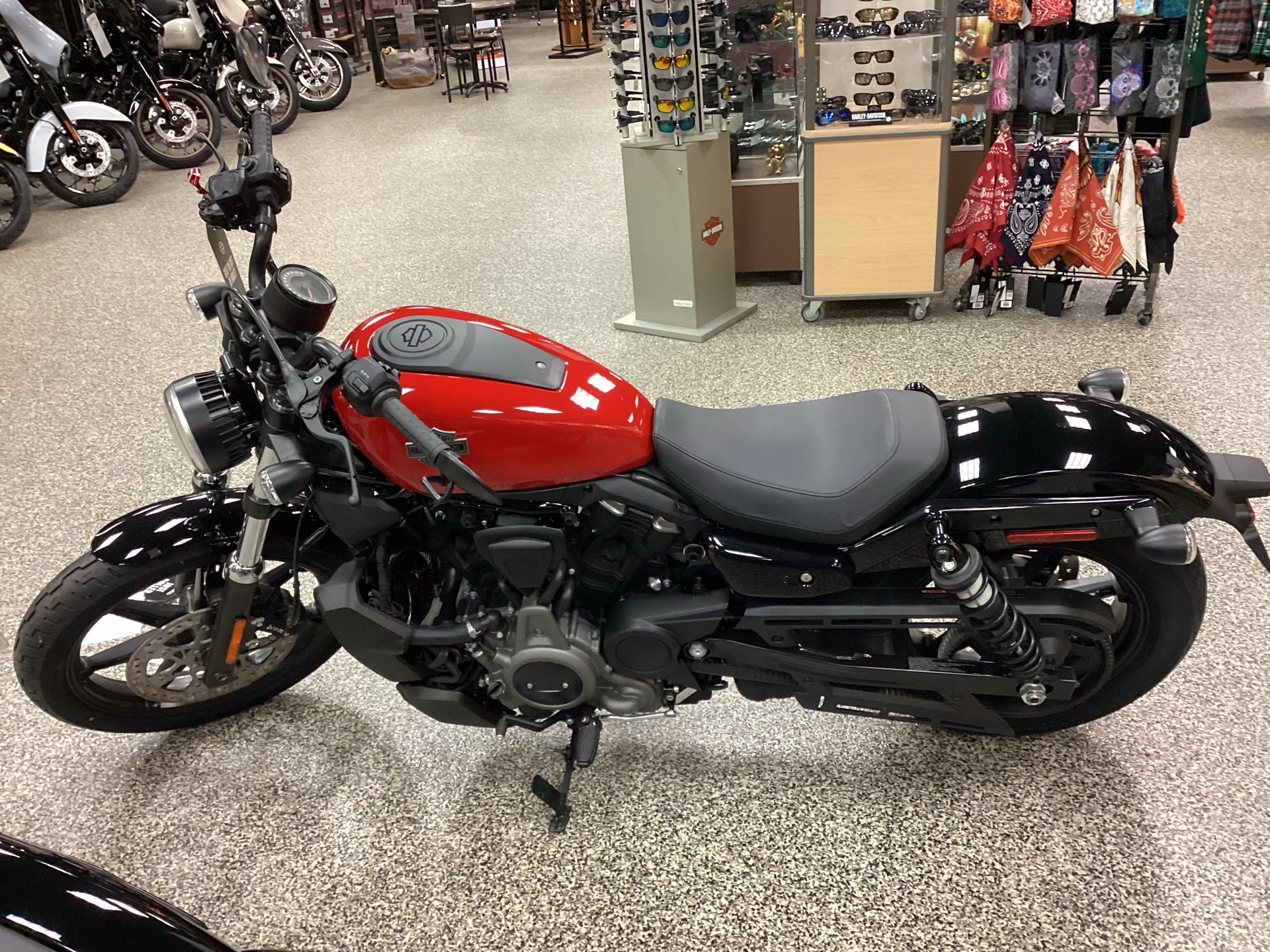 2023 Harley-Davidson Nightster® in Honesdale, Pennsylvania - Photo 15