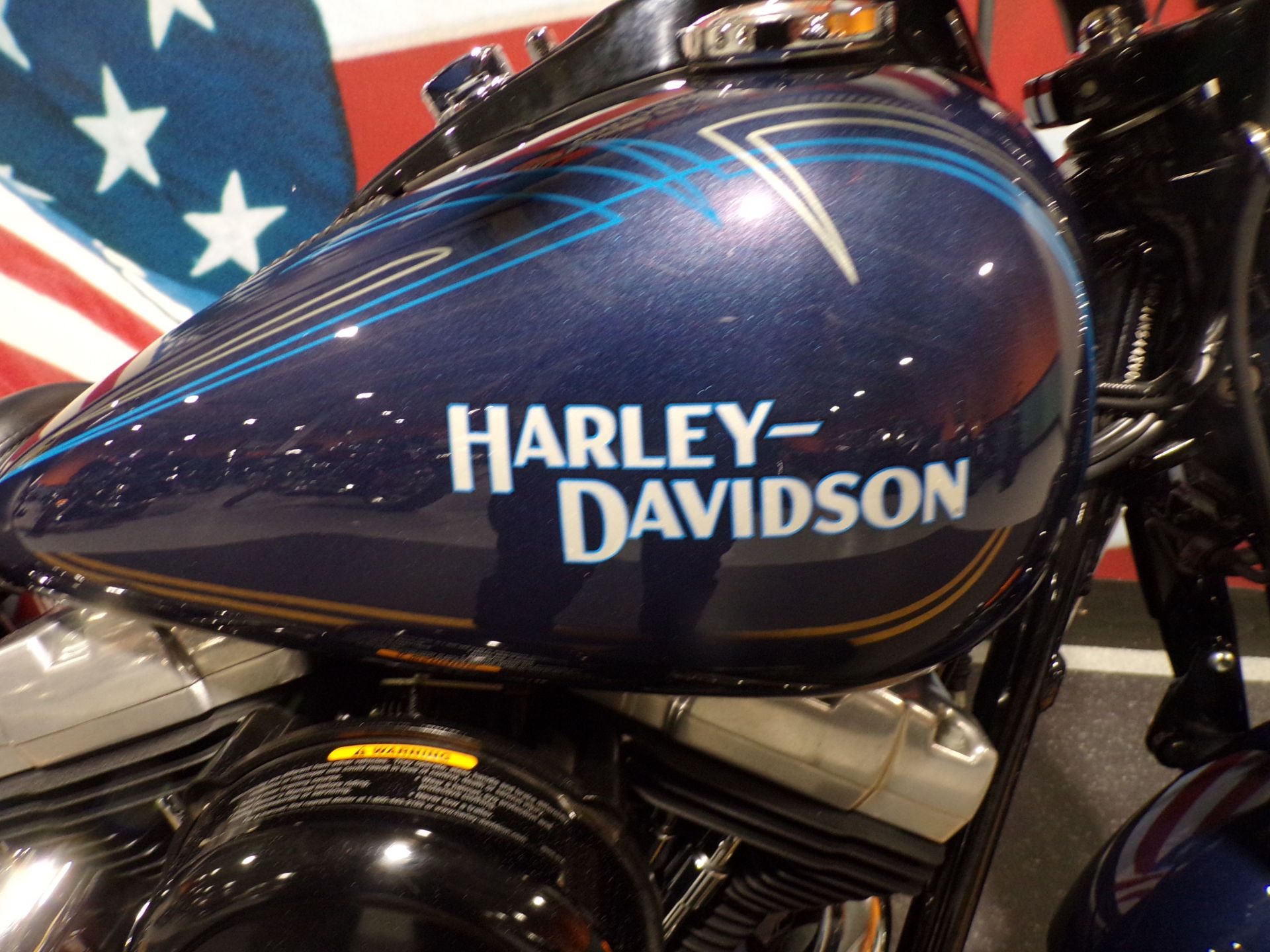 2008 Harley-Davidson Softail® Cross Bones™ in Honesdale, Pennsylvania - Photo 17