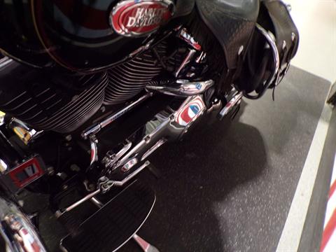 2002 Harley-Davidson FLSTS/FLSTSI Heritage Springer® in Honesdale, Pennsylvania - Photo 11