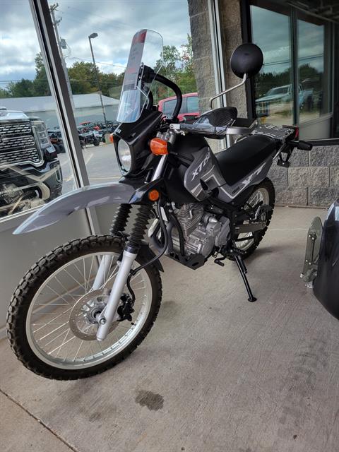 2023 Yamaha XT250 in Gaylord, Michigan - Photo 7