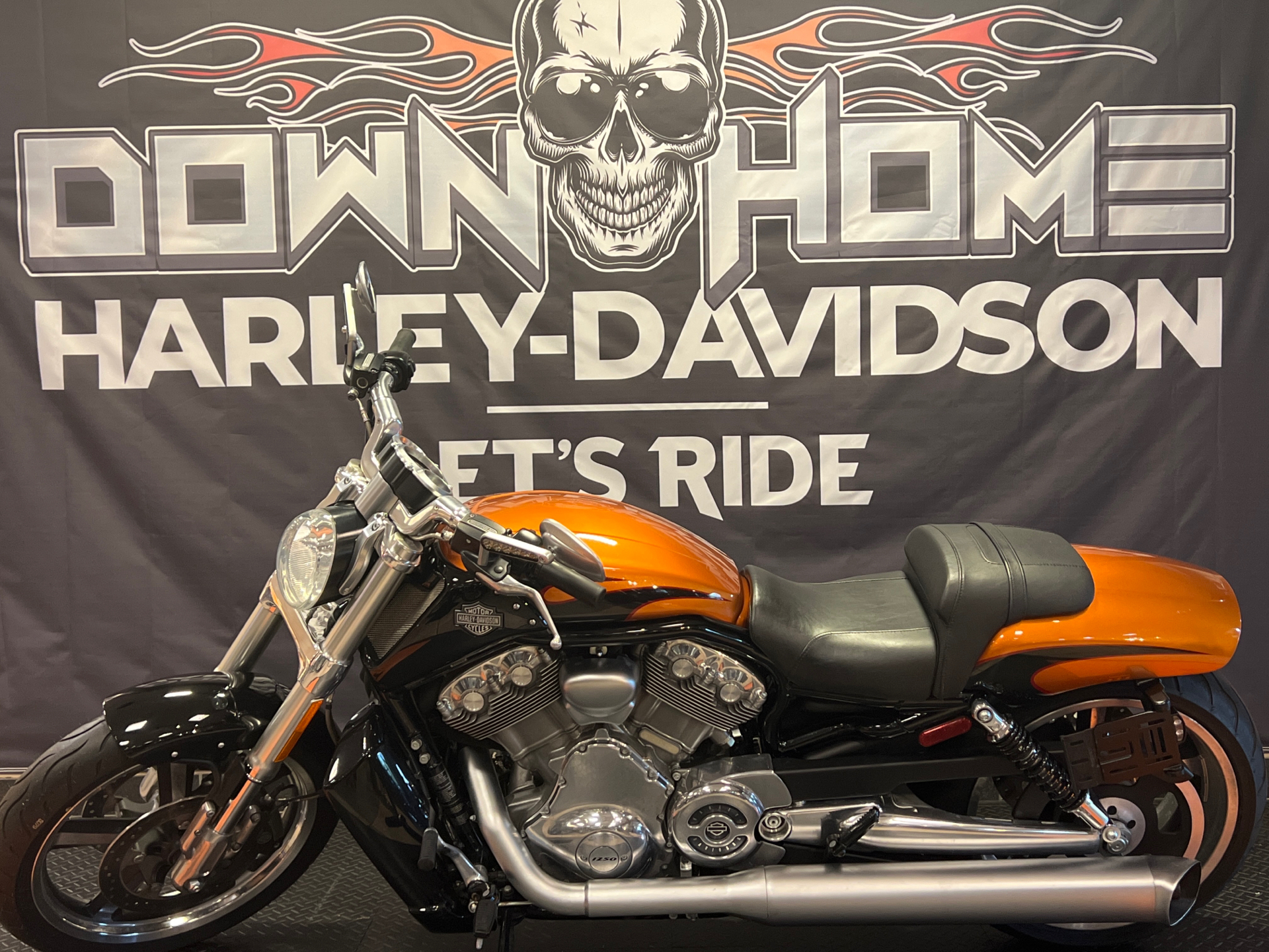 2014 Harley-Davidson V-Rod Muscle® in Burlington, North Carolina - Photo 1