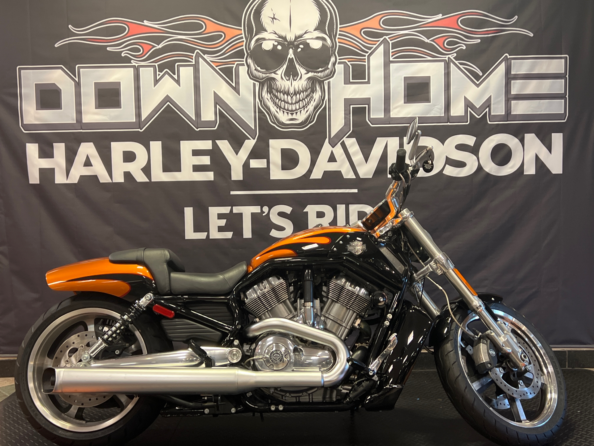 2014 Harley-Davidson V-Rod Muscle® in Burlington, North Carolina - Photo 2