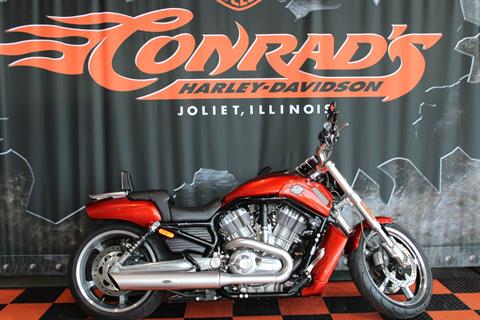 2013 Harley-Davidson V-Rod Muscle® in Shorewood, Illinois - Photo 1
