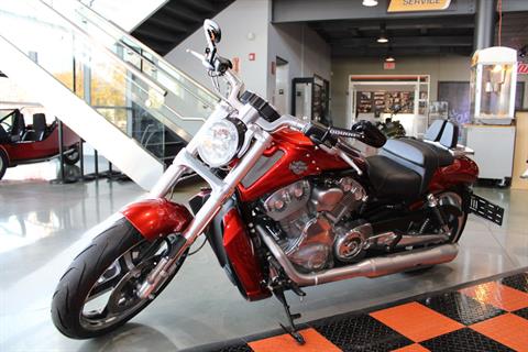 2013 Harley-Davidson V-Rod Muscle® in Shorewood, Illinois - Photo 15