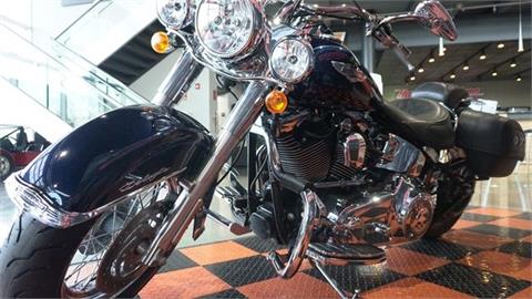 2013 Harley-Davidson Softail® Deluxe in Shorewood, Illinois - Photo 9
