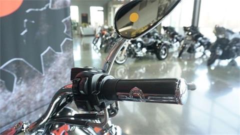 2013 Harley-Davidson Softail® Deluxe in Shorewood, Illinois - Photo 13