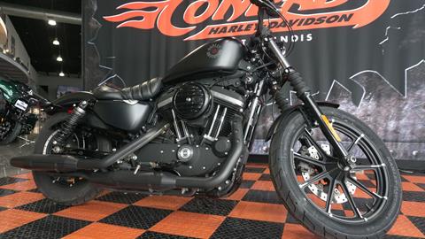 2019 Harley-Davidson Iron 883™ in Shorewood, Illinois - Photo 3