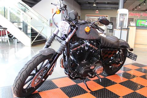 2022 Harley-Davidson Iron 883™ in Shorewood, Illinois - Photo 15
