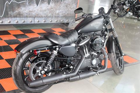 2017 Harley-Davidson Iron 883™ in Shorewood, Illinois - Photo 11