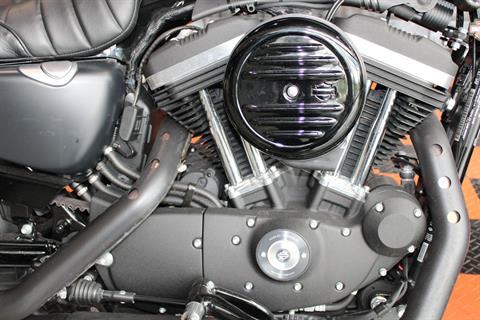 2021 Harley-Davidson Iron 883™ in Shorewood, Illinois - Photo 6