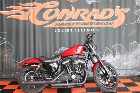 2019 Harley-Davidson Iron 883™ in Shorewood, Illinois