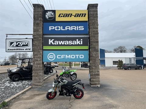 2023 Kawasaki Z125 Pro in Dyersburg, Tennessee - Photo 1