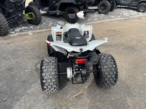 2023 Can-Am Renegade 110 in Dyersburg, Tennessee - Photo 9