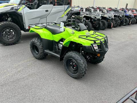 2024 Honda FourTrax Recon in Statesboro, Georgia - Photo 1