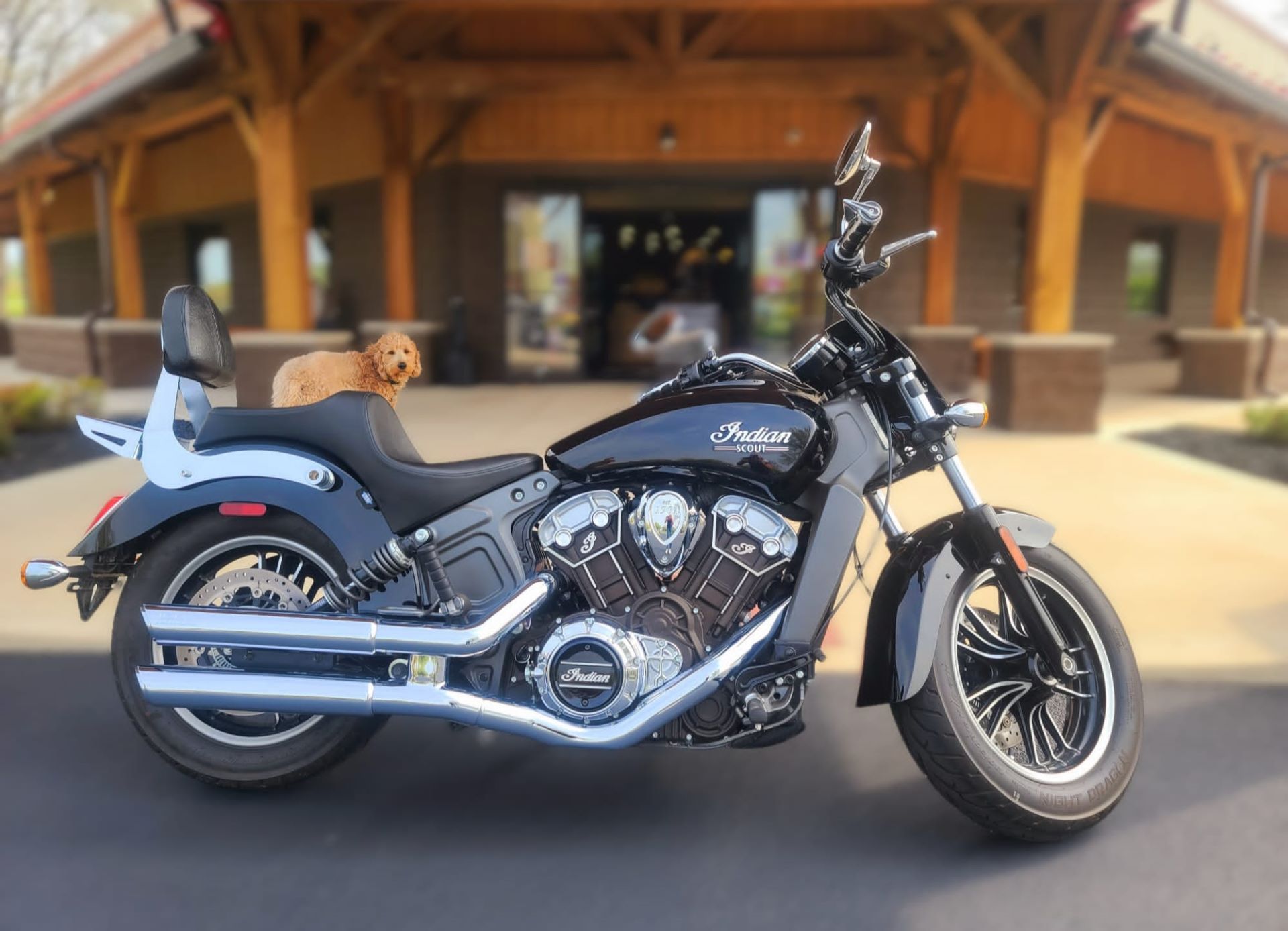 2020 Indian Scout® ABS in Elkhart, Indiana - Photo 1