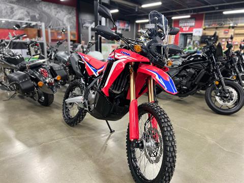 2024 Honda CRF300L Rally ABS in Duncansville, Pennsylvania - Photo 1