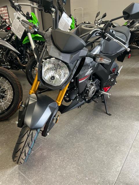 2024 Kawasaki Z125 Pro in Williamson, New York - Photo 2