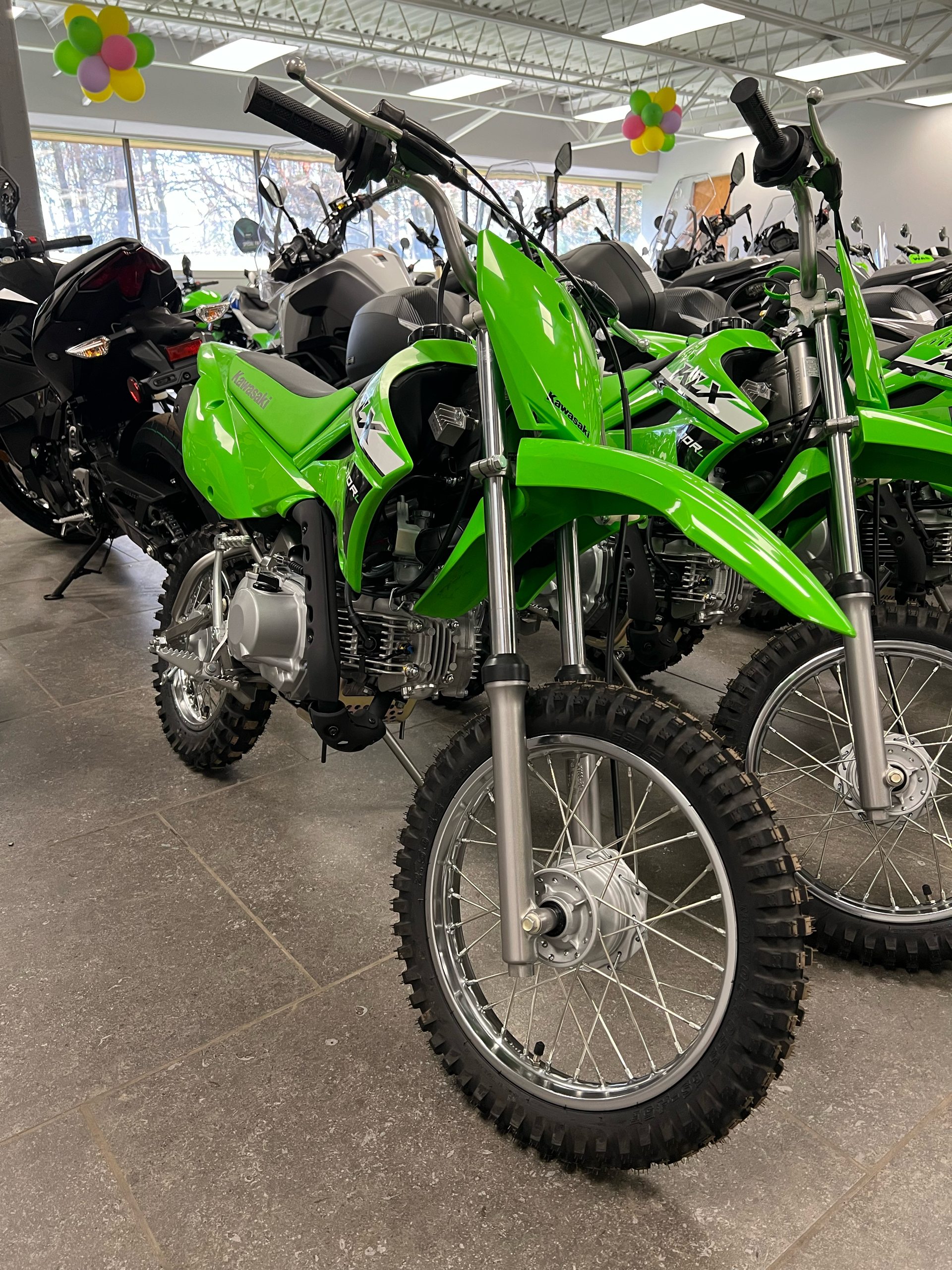 2024 Kawasaki KLX 110R L in Williamson, New York - Photo 2