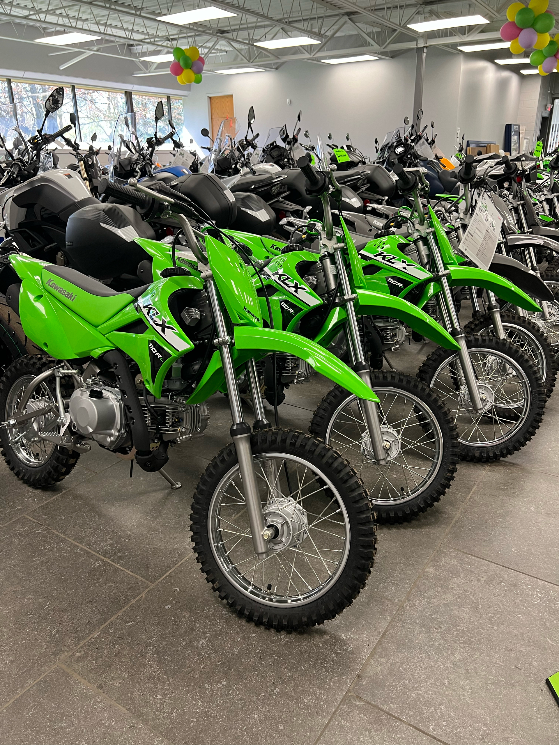 2024 Kawasaki KLX 110R L in Williamson, New York - Photo 2