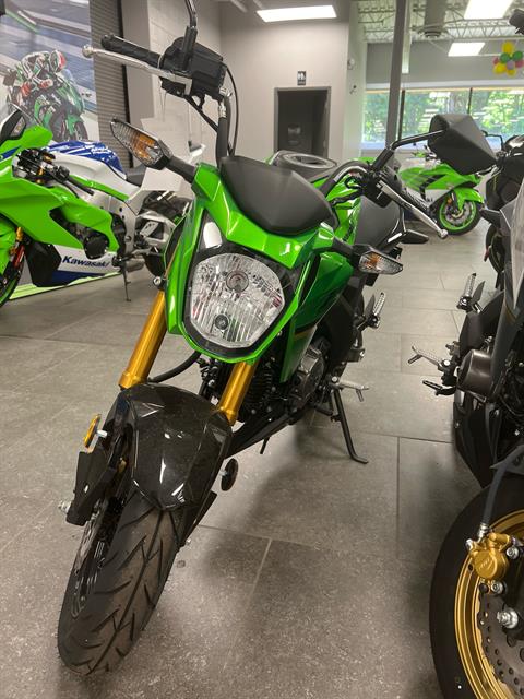 2024 Kawasaki Z125 Pro in Williamson, New York - Photo 1