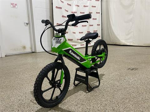 2023 Kawasaki Elektrode in Williamson, New York - Photo 1