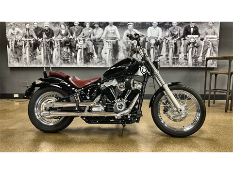 2020 Harley-Davidson Softail® Standard in Marietta, Georgia