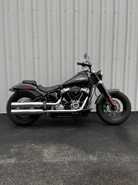 2021 Harley-Davidson Softail Slim® in Clarksville, Tennessee - Photo 1