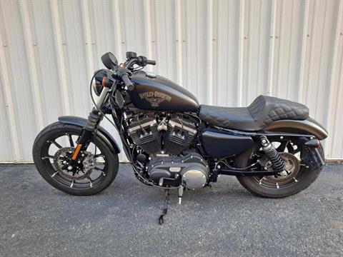 2016 Harley-Davidson Iron 883™ in Clarksville, Tennessee - Photo 3