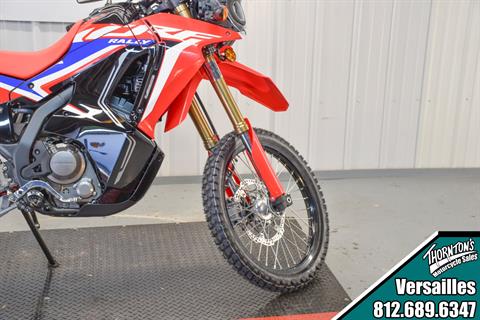 2024 Honda CRF300L Rally in Versailles, Indiana - Photo 2