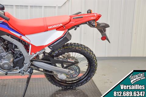 2024 Honda CRF300L in Versailles, Indiana - Photo 8