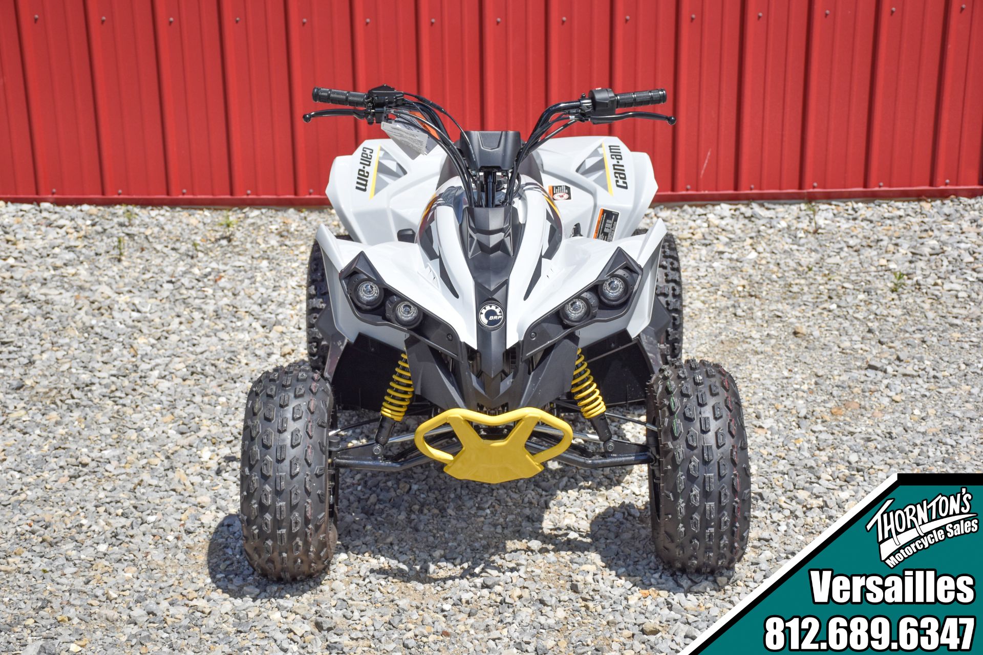 2024 Can-Am Renegade 110 EFI in Versailles, Indiana - Photo 7