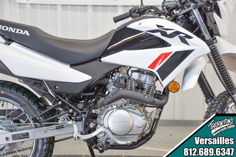 2024 Honda XR150L in Versailles, Indiana - Photo 4