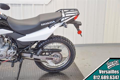 2024 Honda XR150L in Versailles, Indiana - Photo 8