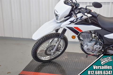 2024 Honda XR150L in Versailles, Indiana - Photo 3