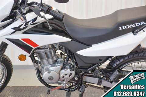 2024 Honda XR150L in Versailles, Indiana - Photo 4