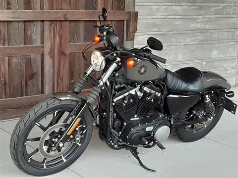 Used 2019 Harley Davidson  Iron 883  Motorcycles in 