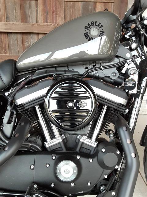 Used 2019 Harley Davidson  Iron 883  Motorcycles in 