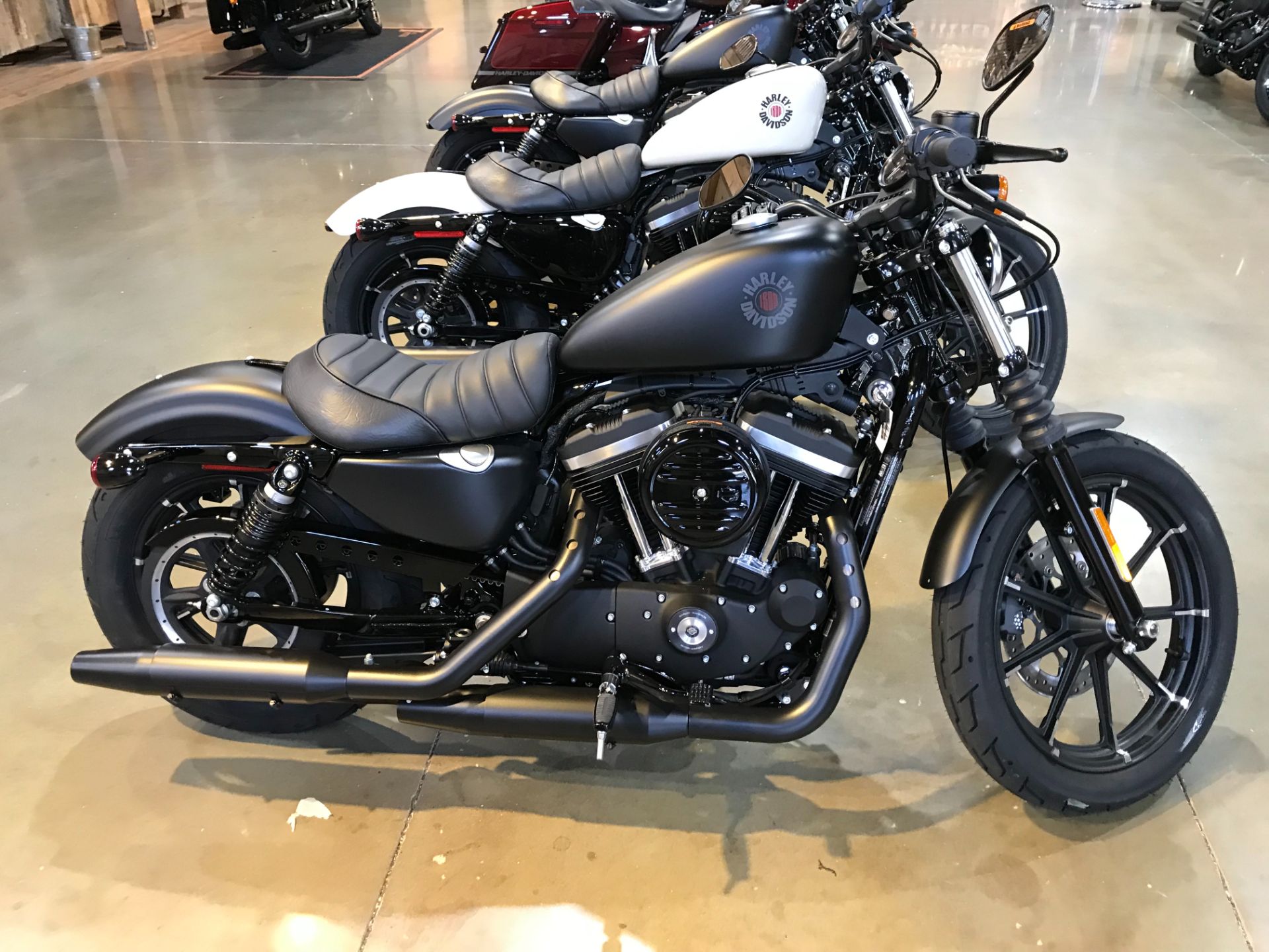 2022 Harley-Davidson Iron 883™ in Kingwood, Texas - Photo 1