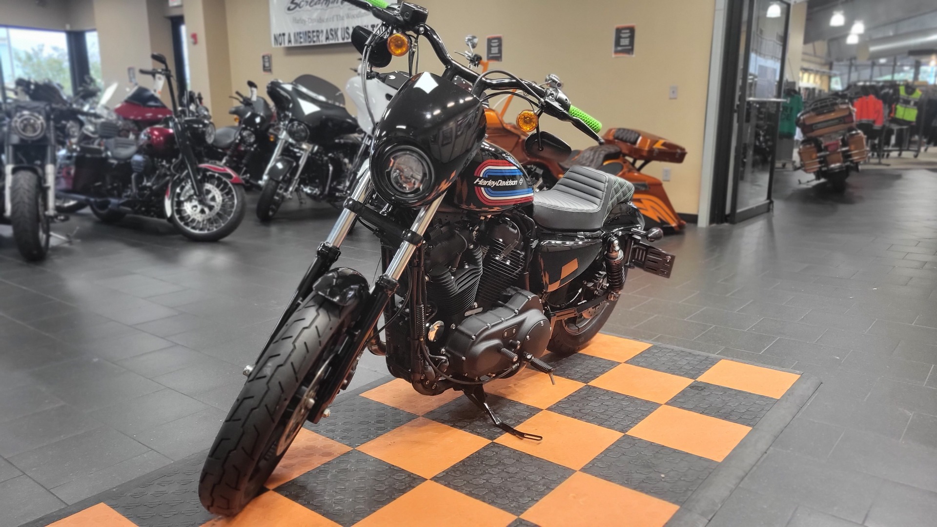 2021 Harley-Davidson Iron 1200™ in The Woodlands, Texas - Photo 3