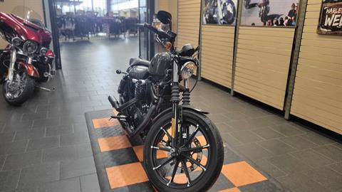 2019 Harley-Davidson Iron 883™ in The Woodlands, Texas - Photo 2
