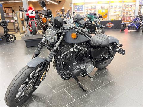 2022 Harley-Davidson Iron 883™ in The Woodlands, Texas - Photo 3