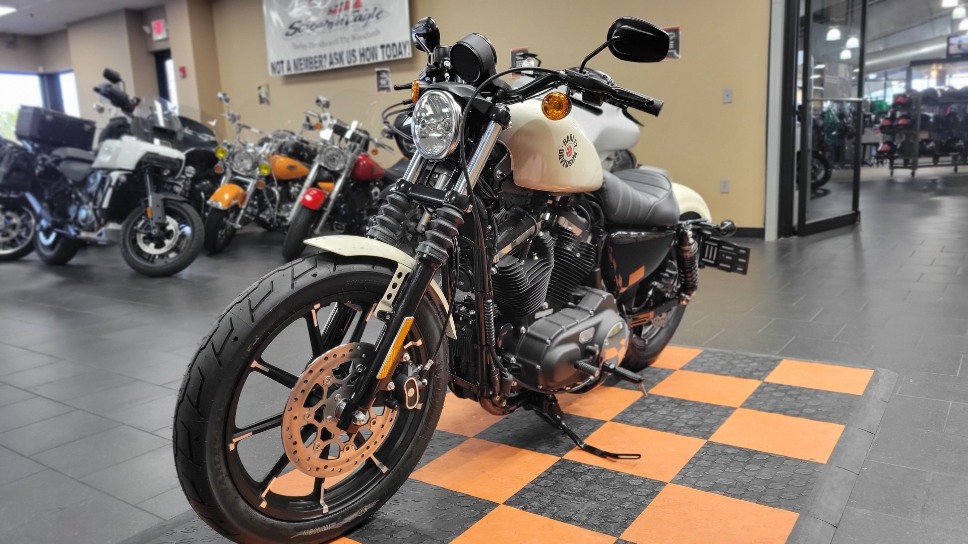 2022 Harley-Davidson Iron 883™ in The Woodlands, Texas - Photo 3
