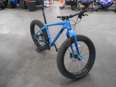 fat tire double kickstand