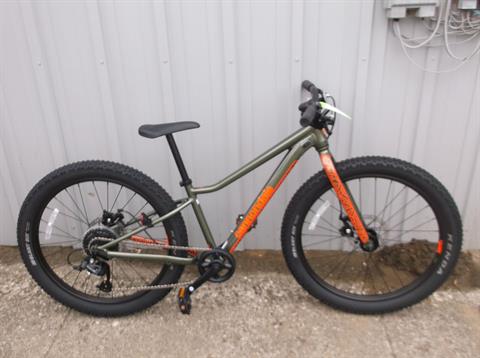 2022 Cannondale Trail Plus 24 in Howell, Michigan - Photo 1
